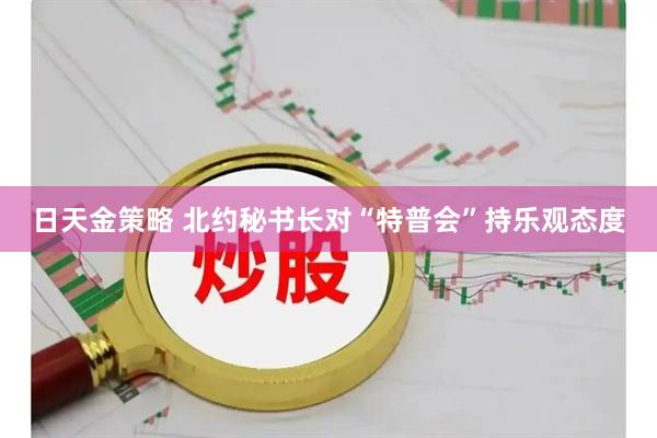 日天金策略 北约秘书长对“特普会”持乐观态度