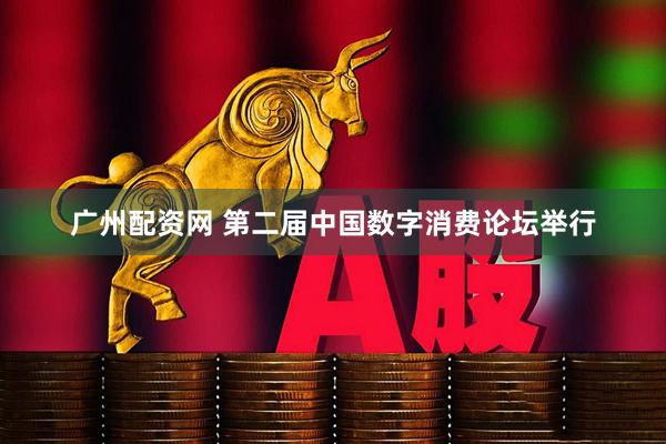 广州配资网 第二届中国数字消费论坛举行