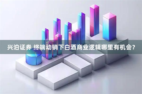 兴泊证券 终端动销下白酒商业逻辑哪里有机会？